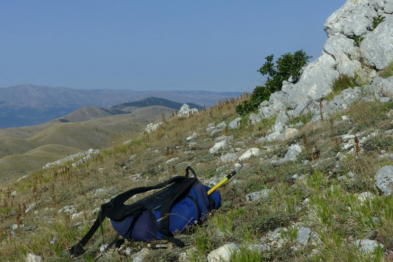 Le belle Epipactis sulle praterie di Campo Imperatore (AQ)  luglio 2025.